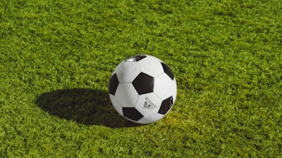 上海海港足球俱乐部队徽